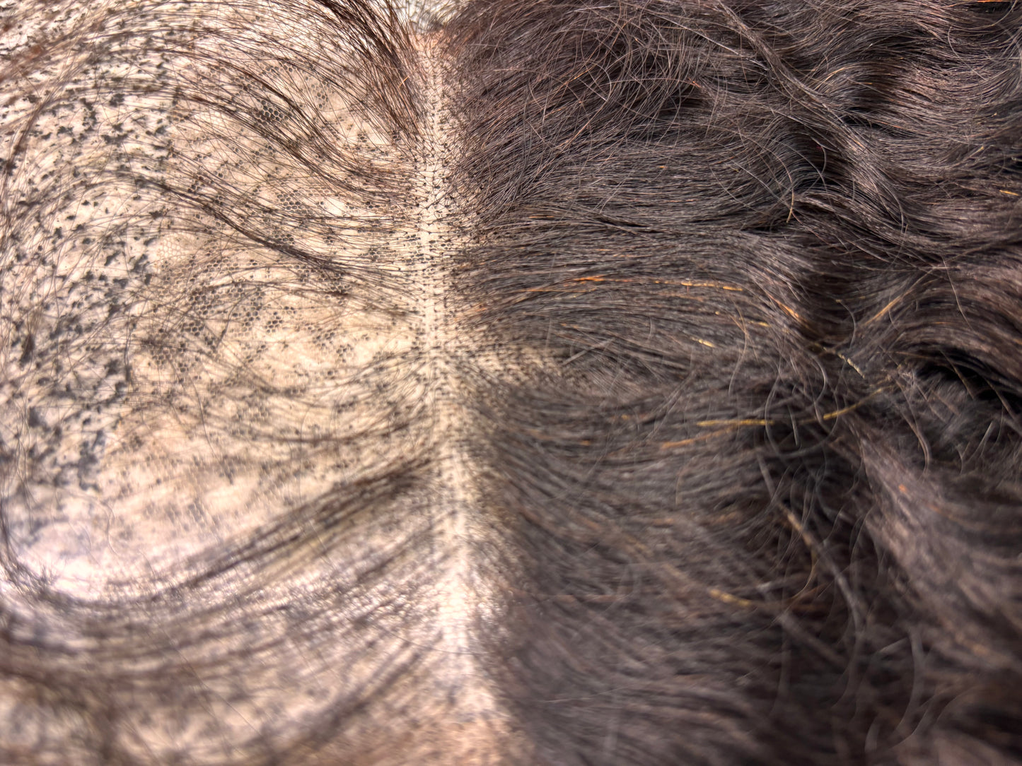 Curly 5x5 HD Closure